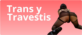 Trans y travestis
